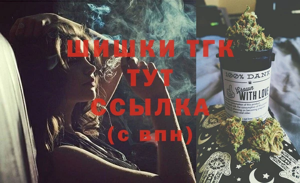 СК Алексин