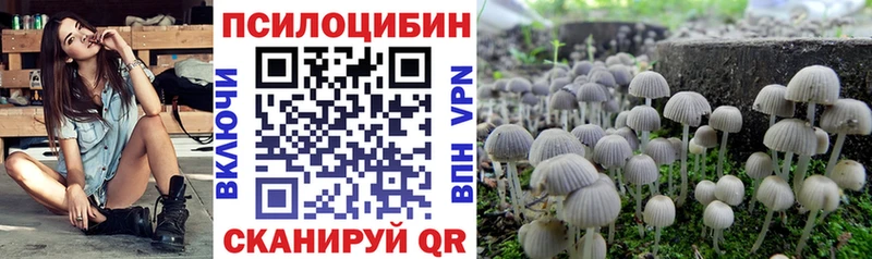 мега ТОР  Миасс  Галлюциногенные грибы прущие грибы 
